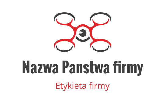 Drone logo
