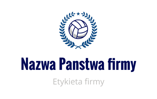 Volleyball logo