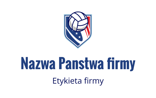 Volleyball logo